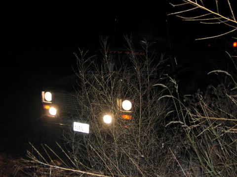 1981 Ford Bronco - Nighttime view of a 1980 Ford Bronco's front end, partially hidden by vegetation.