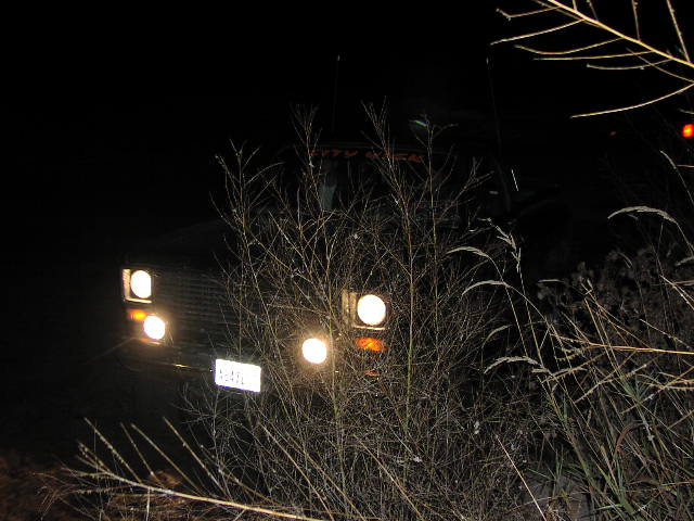 1980 Ford Bronco front end with headlights on, obscured by dry brush at night. License plate is visible