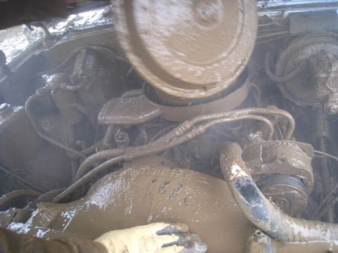 1978 Ford Bronco - Engine bay heavily coated in mud, obscuring most details of the vehicle.