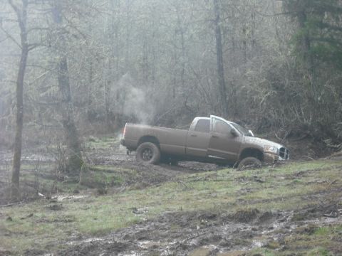 1978 Ford Bronco - A pickup truck is stuck in a muddy, wooded area, with steam rising from its exhaust pipe.