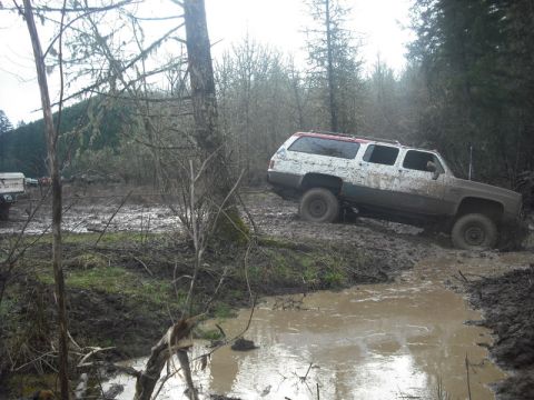 1978 Ford Bronco - A white and brown SUV struggles through a muddy off-road course with trees and water visible.