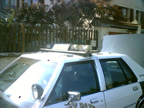1991 Ford Crown Victoria - Side view of a police car with a light bar mounted on the roof and "WAY PAT" visible on the door.