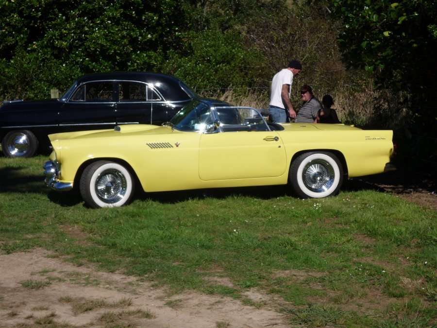 Yellow 1950s Ford Thunderbird convertible with wire wheels and whitewalls on grass at a car show