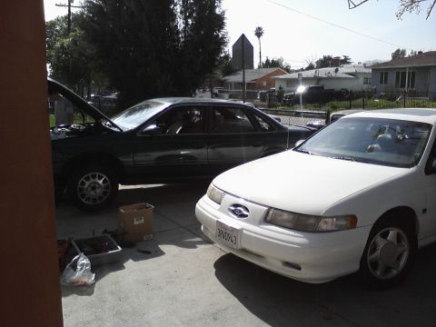 1995 Ford Taurus - Two Ford sedans are parked in a driveway, one with its hood up, under a sunny sky.