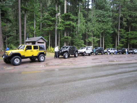 2008 Jeep Wrangler - Multiple Jeeps are parked in a line next to a wooded area, with a small building in the background.