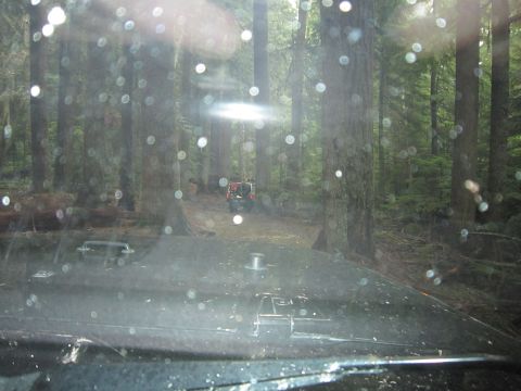 2008 Jeep Wrangler - Two off-road vehicles are parked in a dense forest, with one vehicle visible from the perspective of another.