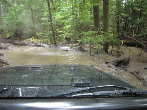 2008 Jeep Wrangler - A black 2008 Jeep Wrangler navigates a challenging muddy path deep within a dense forest.
