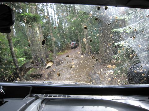 2008 Jeep Wrangler - Off-roading through a muddy forest trail with water splashes on the windshield.