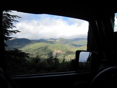 2008 Jeep Wrangler - A view of a misty, tree-covered mountain range seen through the window of a vehicle.