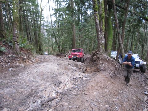 2008 Jeep Wrangler - Multiple Jeeps navigate a challenging off-road course in a forest.