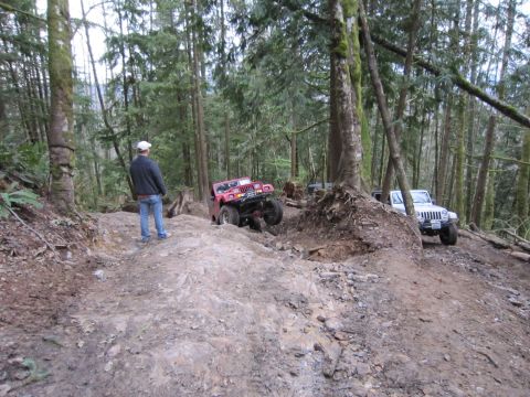 2008 Jeep Wrangler - Two Jeeps navigate a challenging off-road trail through a dense forest.