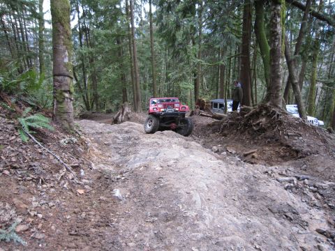2008 Jeep Wrangler - Several off-road vehicles navigate a challenging, rocky path through a dense forest.