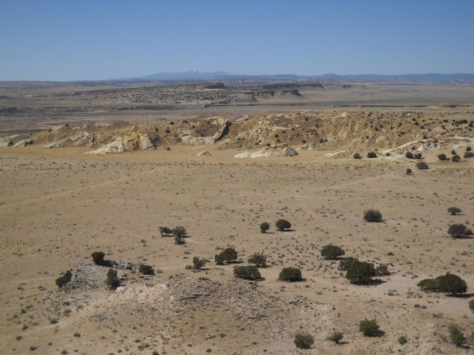 Desert landscape with a dark-colored SUV partially obscured by trees