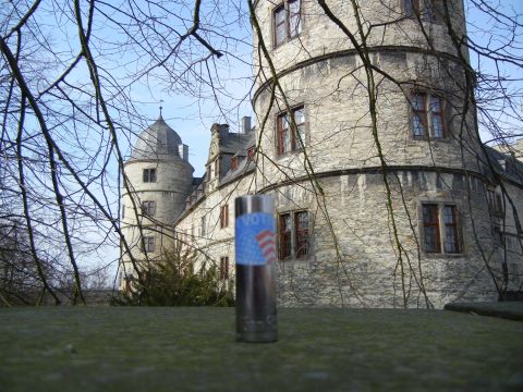 1999 Lincoln Town Car - A socket with a 'Vote' sticker is placed in front of a historic castle, with bare tree branches framing the scene.
