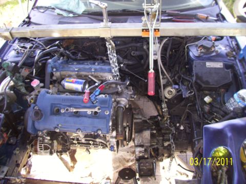 1995 Ford Probe - Engine bay with engine being serviced, suspended by a hoist, showing blue valve covers and various hoses.