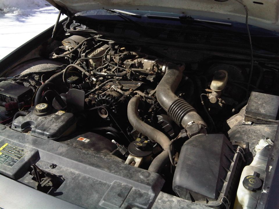 Engine bay of a 2003 Ford Crown Victoria P71 Interceptor