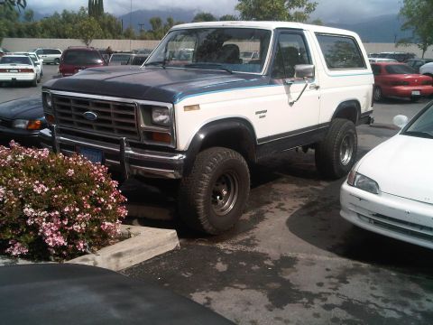 1986 Ford Bronco - A white and blue Ford Bronco is parked in a lot next to other vehicles.