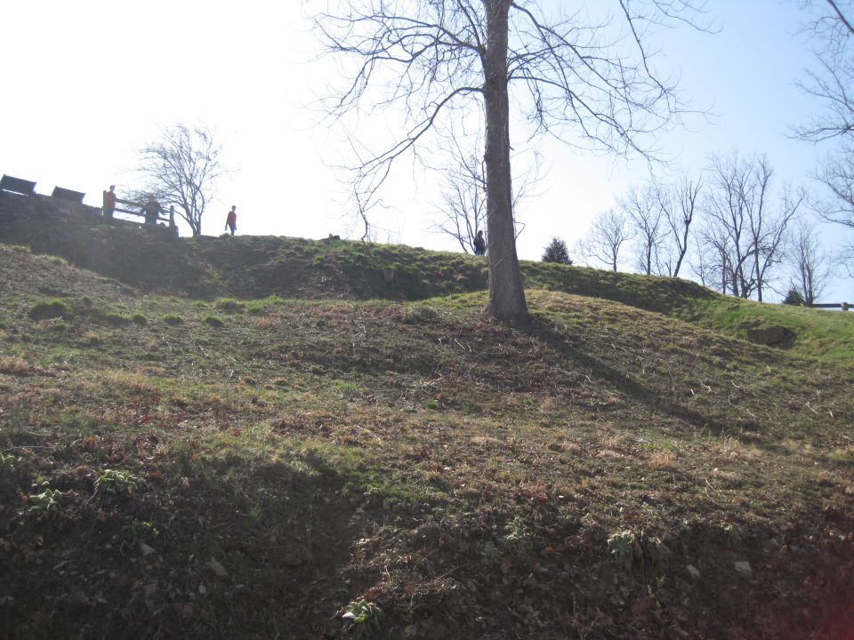 People on a grassy hill with trees under a clear sky