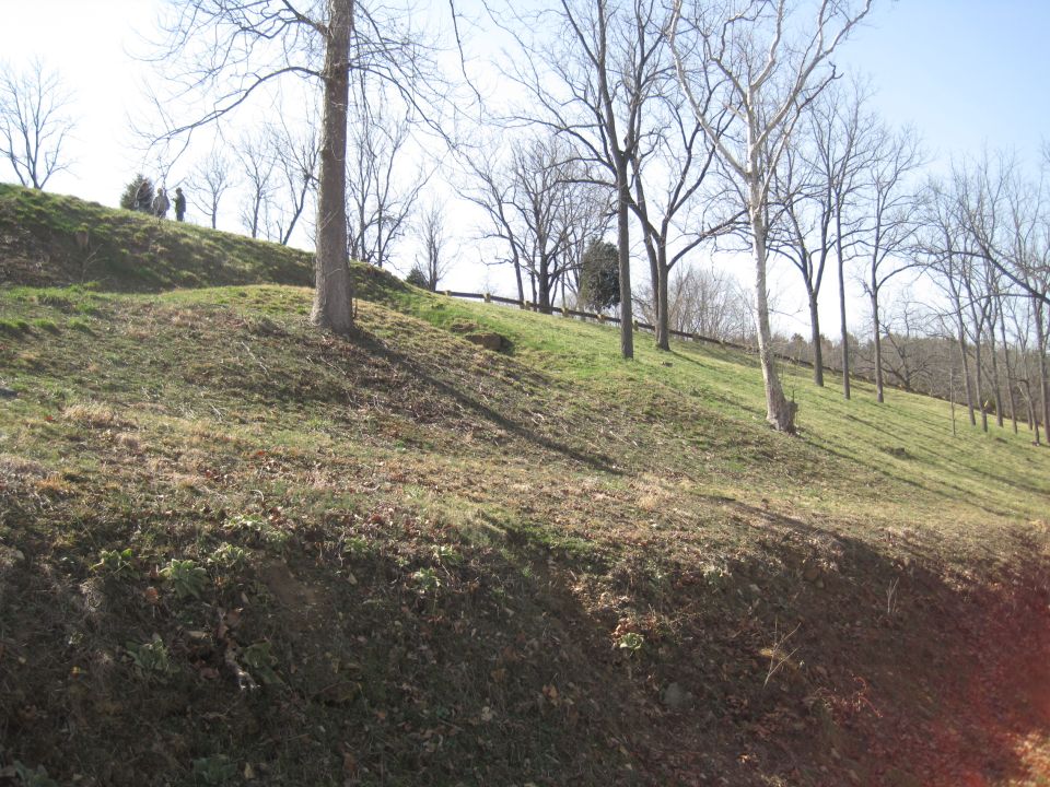 grassy hillside with bare trees and a few people standing on top