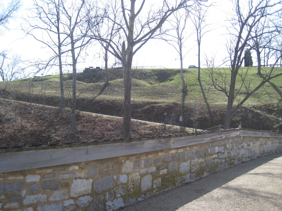 Dark sedan on a grassy hill under a bright sky