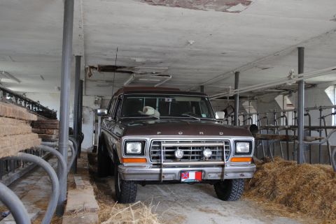 1979 Ford F-150 - 24