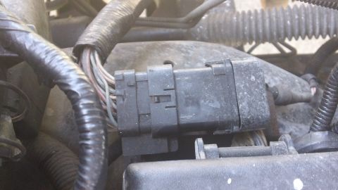 1994 Ford Bronco - A close-up view of a vehicle's engine bay shows a disconnected electrical wiring harness connector.