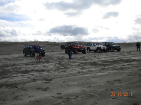 2005 Jeep Wrangler - A group of Jeeps are gathered on a sandy terrain under a cloudy sky, with several people and a dog present.