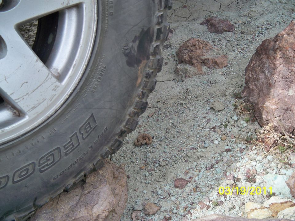 Close-up of a BFGoodrich tire on rocky, sandy ground. Date stamp 03/19/2011 visible