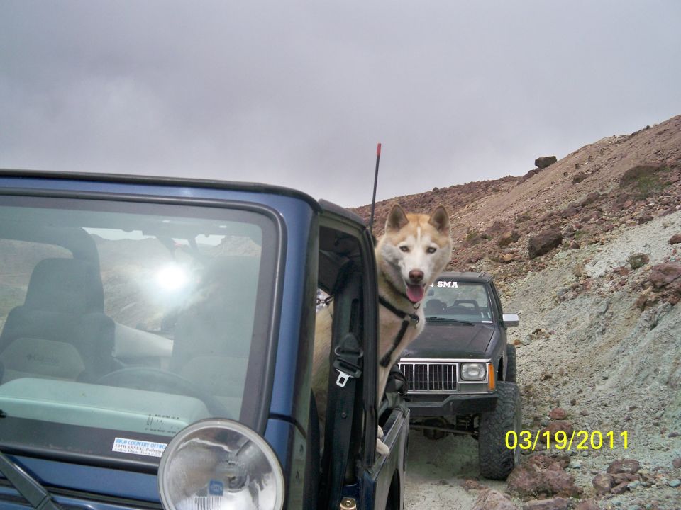 Husky dog looking out the window of a blue 1992 Jeep Wrangler, with a black Jeep Cherokee behind it on a rocky trail