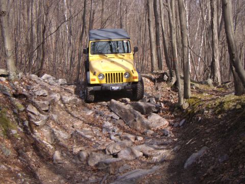 2003 Jeep Wrangler - A yellow 2003 Jeep Wrangler tackles a challenging, rocky path through a dense forest.