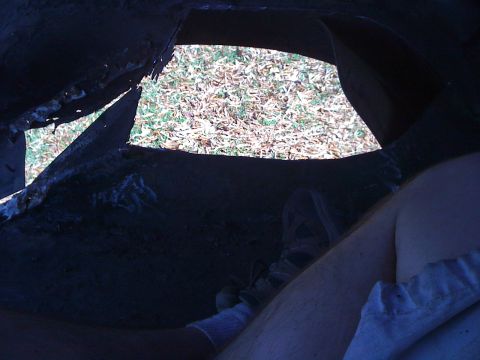 1992 Ford C-350 (Centurion Conversions) - Looking out from the dark interior of a vehicle's wheel well, revealing a grassy exterior and leaf-strewn ground outside area outside. A pe…