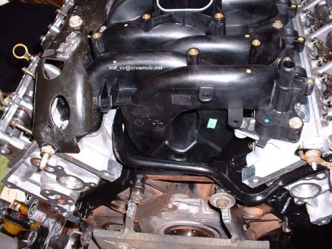 2000 Ford Crown Victoria - The new heater hose.