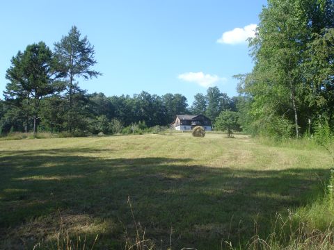 1989 Ford Bronco - A freshly cut hay field with round bales sits under a blue sky with scattered clouds, bordered by pines and hardwoods, with a barn-style wo…