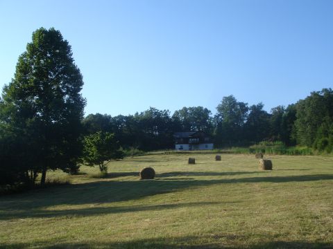 1989 Ford Bronco - Round hay bales scattered across a mowed sloping field in late-day light, with a large shade tree at left and a two-story barn-style house…