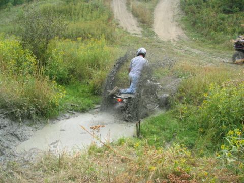 1986 Ford Bronco - Little roost action