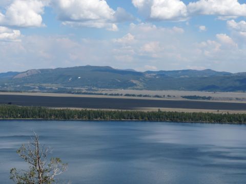2006 Ford E350 - A scenic view of a large blue lake with a tree in the foreground, backed by a dense forest and rolling mountains under a partly cloudy sky.