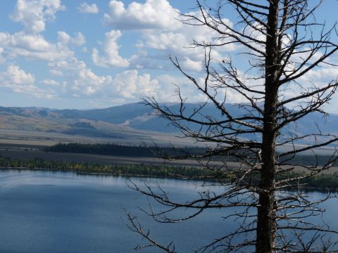 2006 Ford E350 - A scenic view of a lake and mountains, framed by the bare branches of a tree.