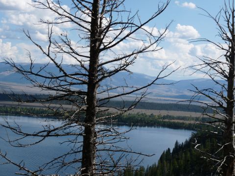 2006 Ford E350 - A landscape scene with a focus on dead tree branches in the foreground, overlooking a lake and mountains.