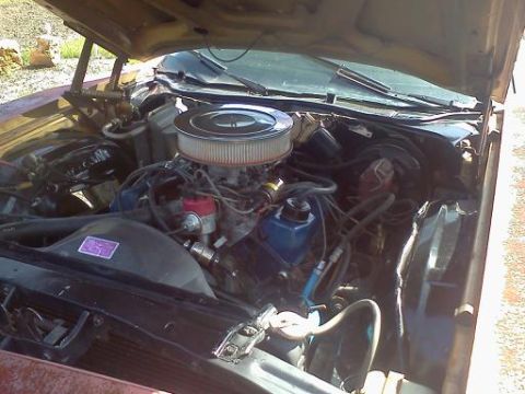 1979 Ford F-250 photo