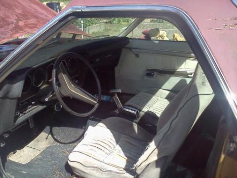 1979 Ford F-250 photo