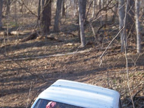 1989 Ford Bronco - A white vehicle is parked in a forest clearing, surrounded by trees and fallen leaves.