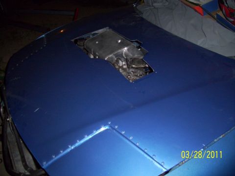 1995 Ford Probe - A blue car hood is modified with a cutout to expose the engine, showing visible rivets along its edges.