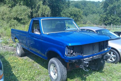 1993 Ford F-150 - A blue pickup truck is parked in a grassy area with trees in the background. Another vehicle is visible to the right.