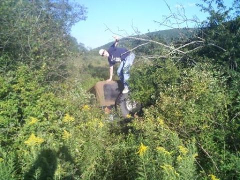 1993 Ford F-150 - Off-road vehicle appears stuck in thick vegetation with a person on top.