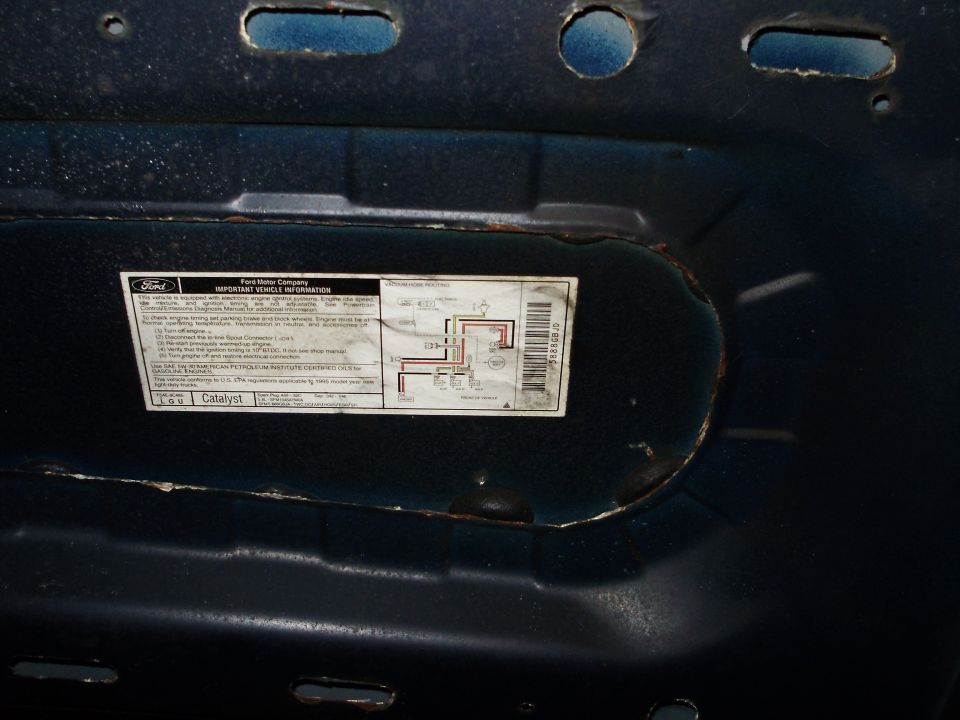 Ford Important Vehicle Information label with vacuum hose routing diagram on underside of hood
