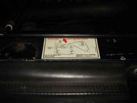 1995 Ford Bronco - Diagram shows the routing for a 5.0L & 5.8L drive belt installation.