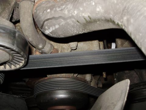 1995 Ford Bronco - The engine's serpentine belt and associated pulleys are shown in this close-up view.