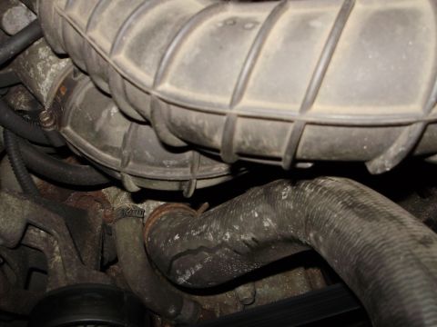1995 Ford Bronco - Close-up view of engine components, including hoses and air intake, with visible wear and dust.