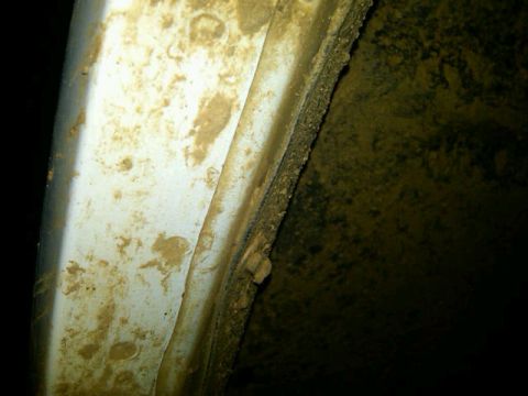1995 Ford F-150 - Close-up view of a dirty fender well, showing the texture and color of mud on white paint.