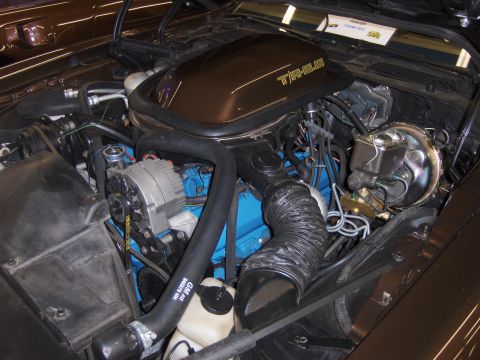 1979 Chevrolet Camaro - Close-up of an engine bay, a T/A 6.6 badge on the air cleaner housing.